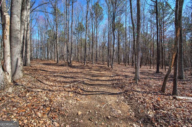 676 Flowery Branch Road, Kingston, GA 30145