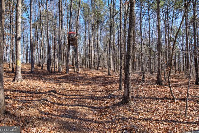 676 Flowery Branch Road, Kingston, GA 30145