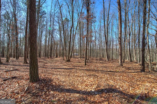 676 Flowery Branch Road, Kingston, GA 30145