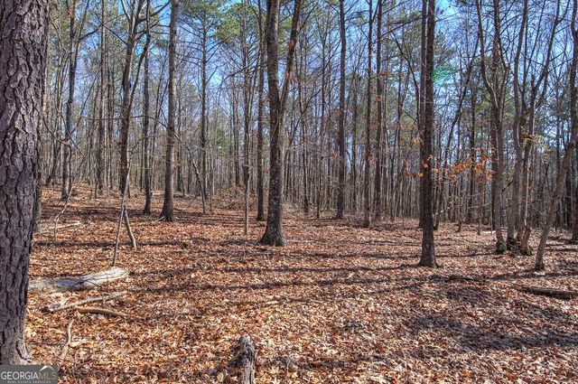 676 Flowery Branch Road, Kingston, GA 30145