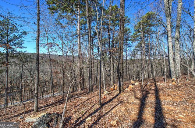 676 Flowery Branch Road, Kingston, GA 30145