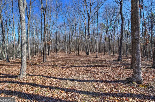 676 Flowery Branch Road, Kingston, GA 30145