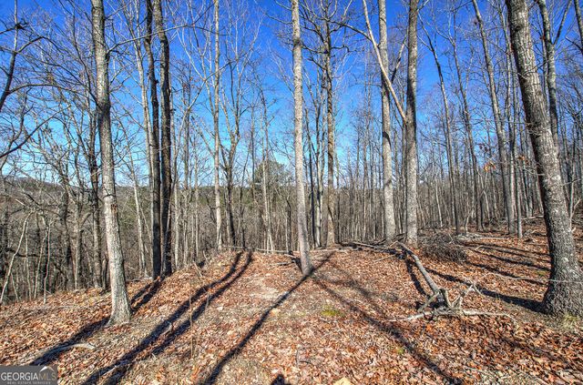 676 Flowery Branch Road, Kingston, GA 30145