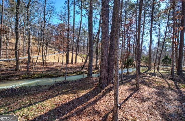 676 Flowery Branch Road, Kingston, GA 30145