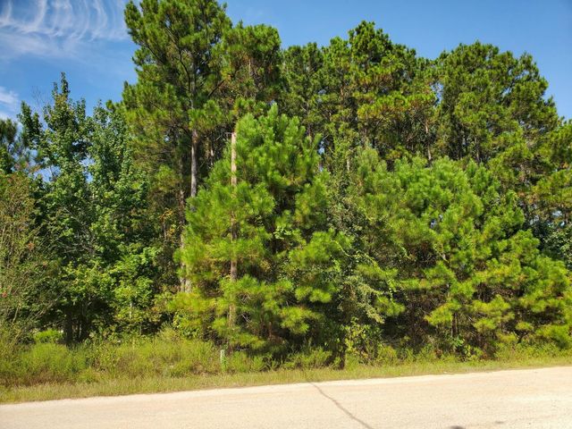 1307 County Road 3479j, Cleveland, TX 77327