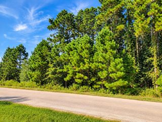 1307 County Road 3479j, Cleveland, TX 77327