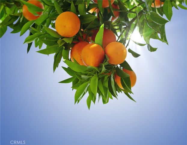 17825 Bear Valley Lane, Escondido, CA 92027