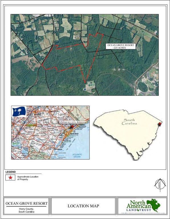 TBD 223.08Acres Coates Rd., North Myrtle Beach, SC 29582 — photo 2