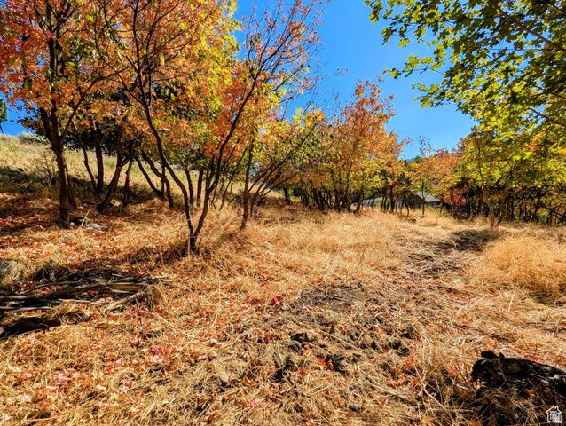 1735 Temple Ct Unit 203, Bountiful, UT 84010