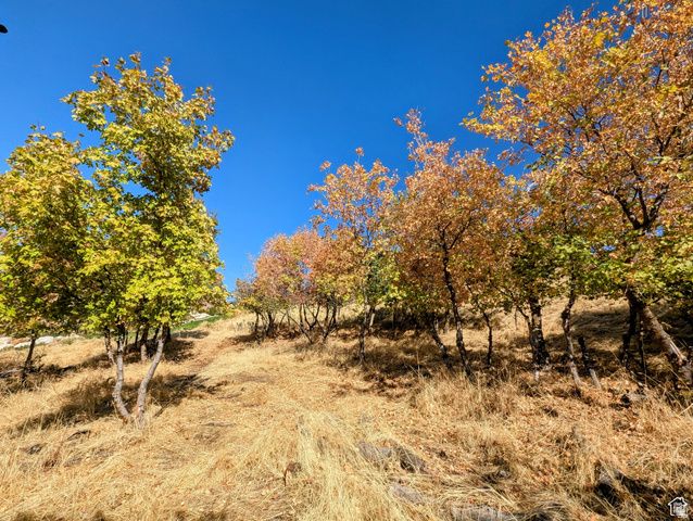 1735 Temple Ct Unit 203, Bountiful, UT 84010