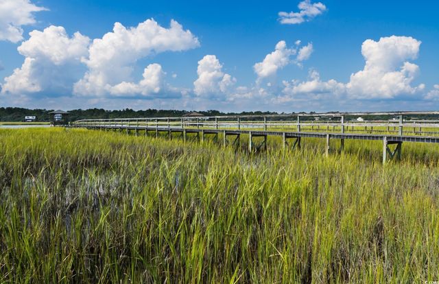 Lot 1-A Brace Dr., Pawleys Island, SC 29585