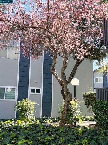 9085 Alcosta Blvd 424, San Ramon, CA 94583