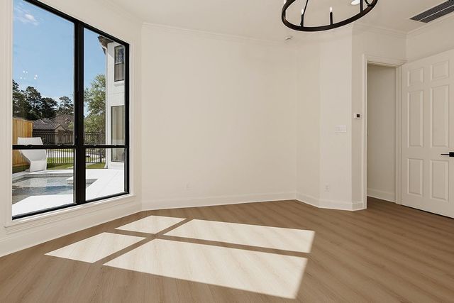 10 Libretto Court, The Woodlands, TX 77382