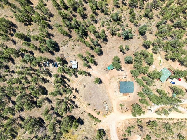 278 Hayes St, Bailey, CO 80421