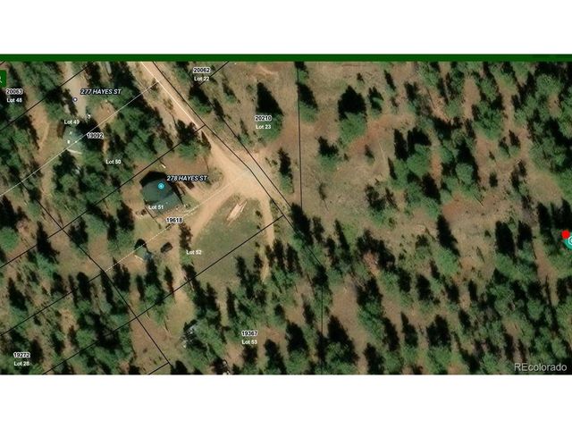 278 Hayes St, Bailey, CO 80421