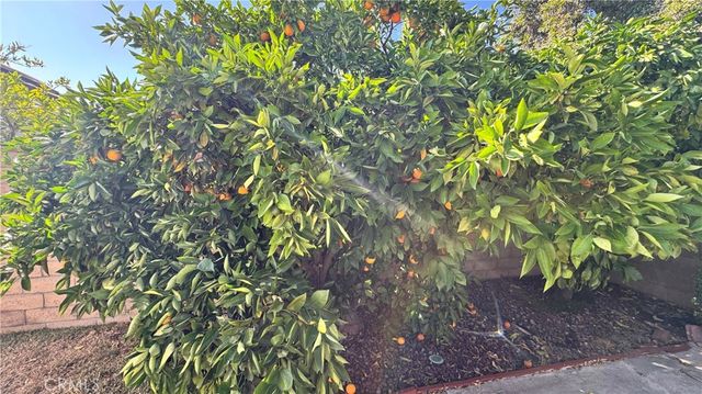 1350 Princeton, Walnut, CA 91789