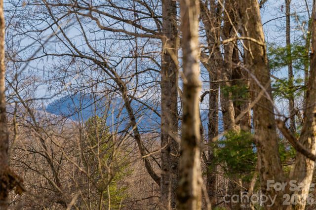 13 Cambridge Drive, Candler, NC 28715