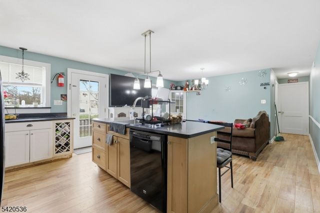 13 William St, Flemington Boro, NJ 08822