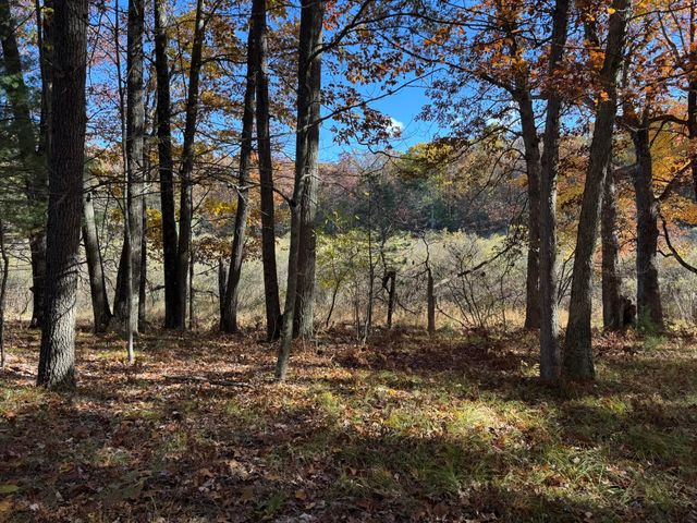 10031 W River Road, Irons, MI 49644