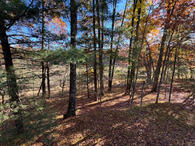 10031 W River Road, Irons, MI 49644