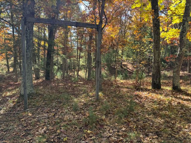 10031 W River Road, Irons, MI 49644