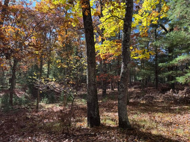 10031 W River Road, Irons, MI 49644