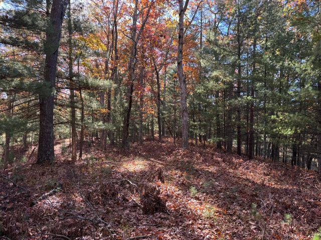 10031 W River Road, Irons, MI 49644