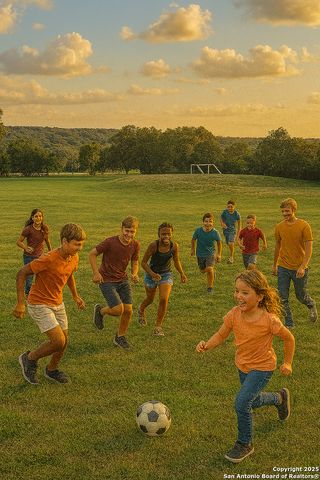 660 Cypress pass, Spring Branch, TX 78070