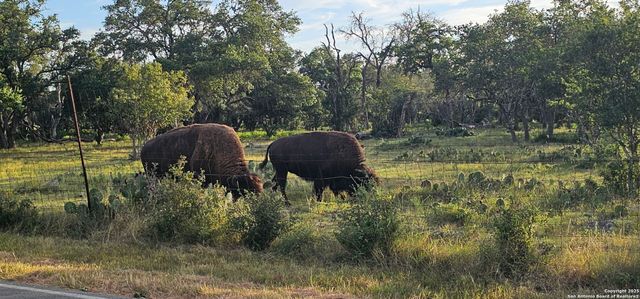 660 Cypress pass, Spring Branch, TX 78070