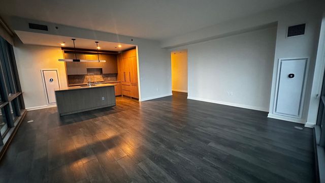 164 N Peoria Street 3002, Chicago, IL 60607