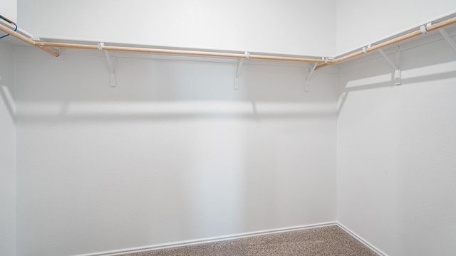 163 Balmorehea ST, Kyle, TX 78640