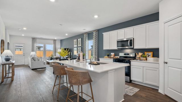 163 Balmorehea ST, Kyle, TX 78640