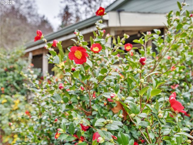 13620 Sw BEEF BEND Rd 66, Portland, OR 97224