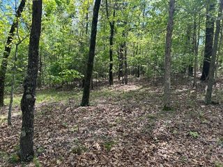 166 Mallard Terrace, Flippin, AR 72634
