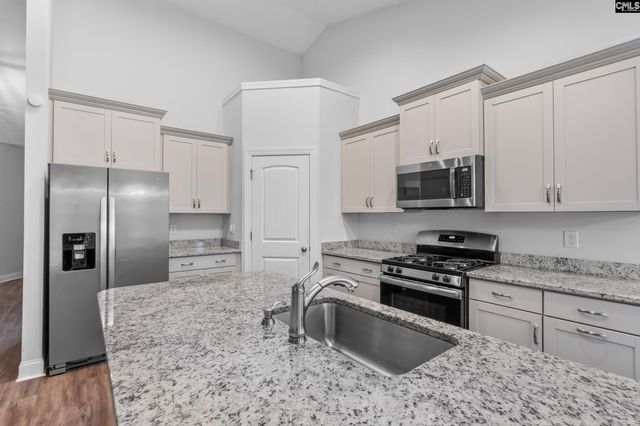482 Malachite Lane, Chapin, SC 29036