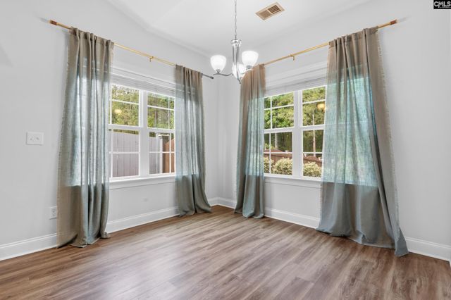 482 Malachite Lane, Chapin, SC 29036