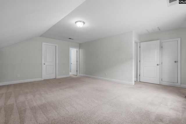 482 Malachite Lane, Chapin, SC 29036