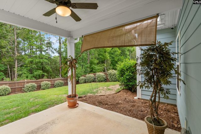 482 Malachite Lane, Chapin, SC 29036
