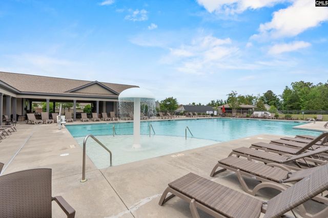 482 Malachite Lane, Chapin, SC 29036