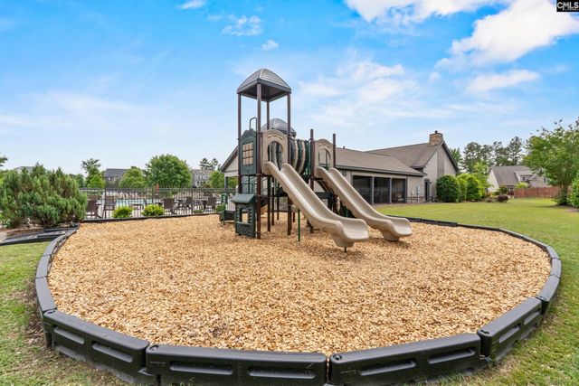 482 Malachite Lane, Chapin, SC 29036