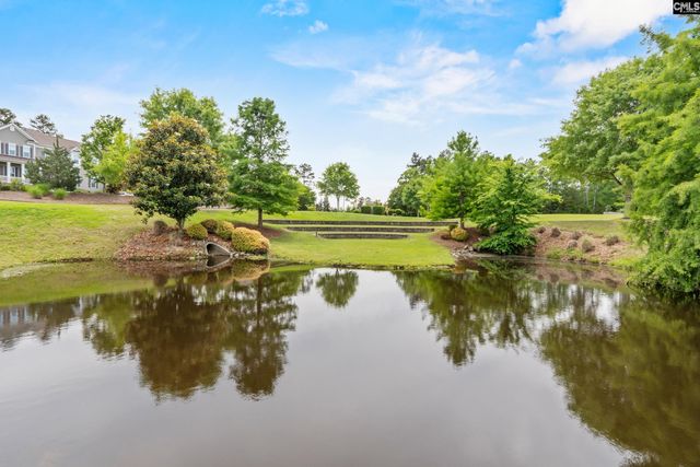 482 Malachite Lane, Chapin, SC 29036