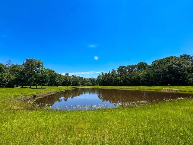 33791 Fm 787, Votaw, TX 77376