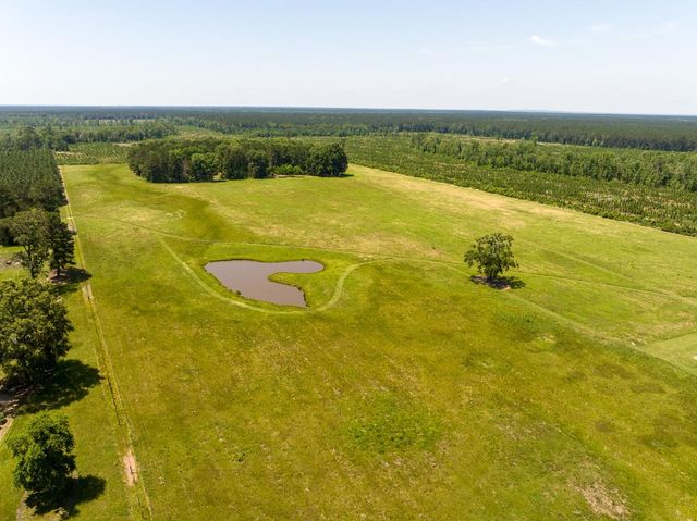 33791 Fm 787, Votaw, TX 77376