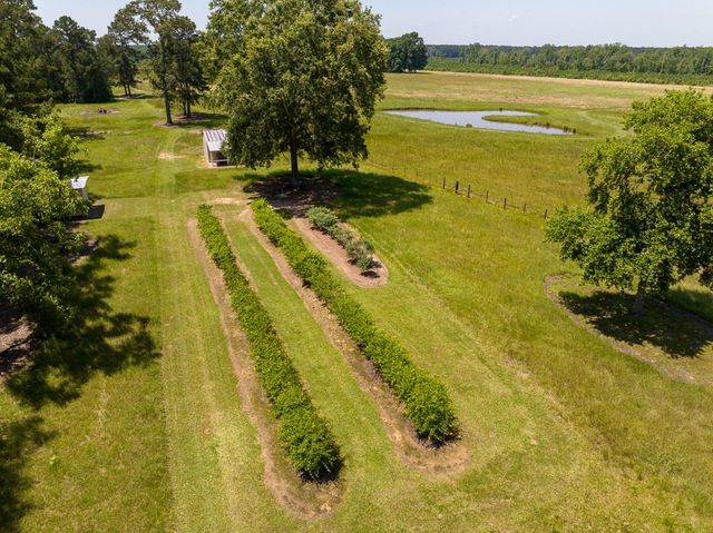 33791 Fm 787, Votaw, TX 77376