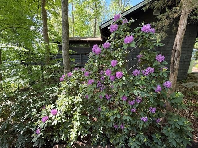 603 N LAKESHORE DR, Louisa, VA 23093