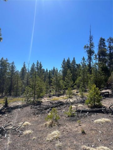266 Ponderosa Drive, Leadville, CO 80461