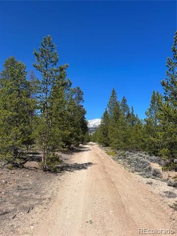 266 Ponderosa Drive, Leadville, CO 80461