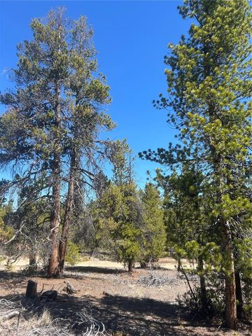 266 Ponderosa Drive, Leadville, CO 80461