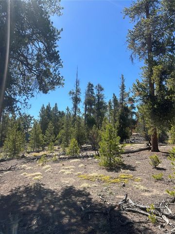266 Ponderosa Drive, Leadville, CO 80461