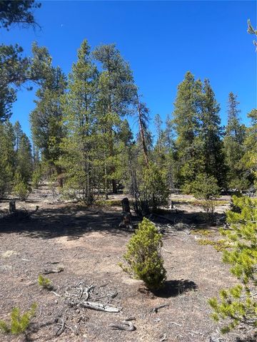 266 Ponderosa Drive, Leadville, CO 80461